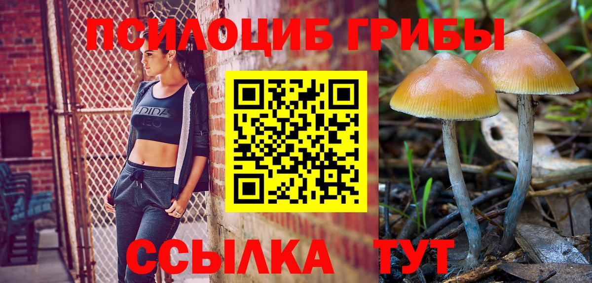 Псилоцибиновые грибы Cubensis  Вход с VPN  Псилоцибиновые грибы GOLDEN TEACHER  Дубна 
